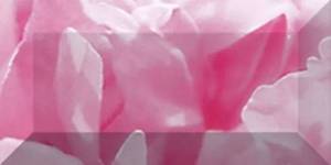 Бордюр Ceramica Classic Peony br1020D281-1 20x10