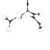 Подвесной светильник LOFT IT Palmira 10191/8 Black фото 5