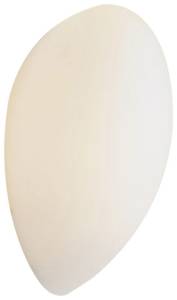 Бра Wertmark Globe WE211.01.001