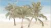 Декор Ceradim Tropic КВС16Tropic3 Dec 3 25x45