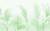 3D Фотообои Artegrafico «Колоски в зелёных тонах» NJ-025 акварель