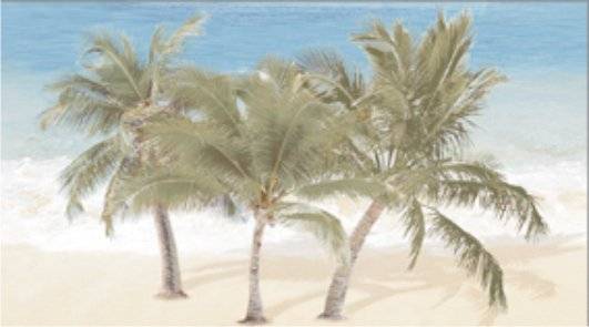 Декор Ceradim Tropic КВС16Tropic3 Dec 3 25x45