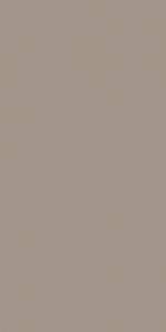 Керамогранит TAU Ceramica Tornares Zumaia Greige Rec 60x120
