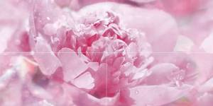 Панно Laparet Peony P4D281 80х40