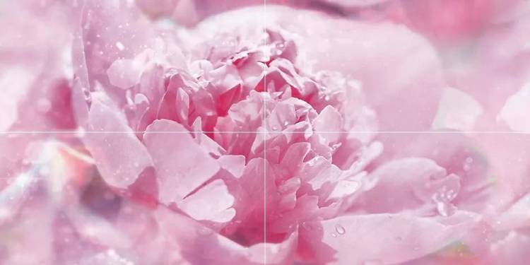 Панно Laparet Peony P4D281 80х40