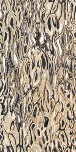 Декор Imola Ceramica The Room GHEPARD6 12LP 60x120