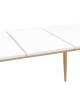 Стол обеденный Stool Group Стокгольм DT-1706-120 DUAL белый 120(160)x80x76 фото 6
