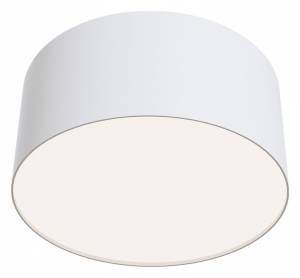 Потолочный светильник Maytoni Technical Zon C032CL-12W4K-RD-W