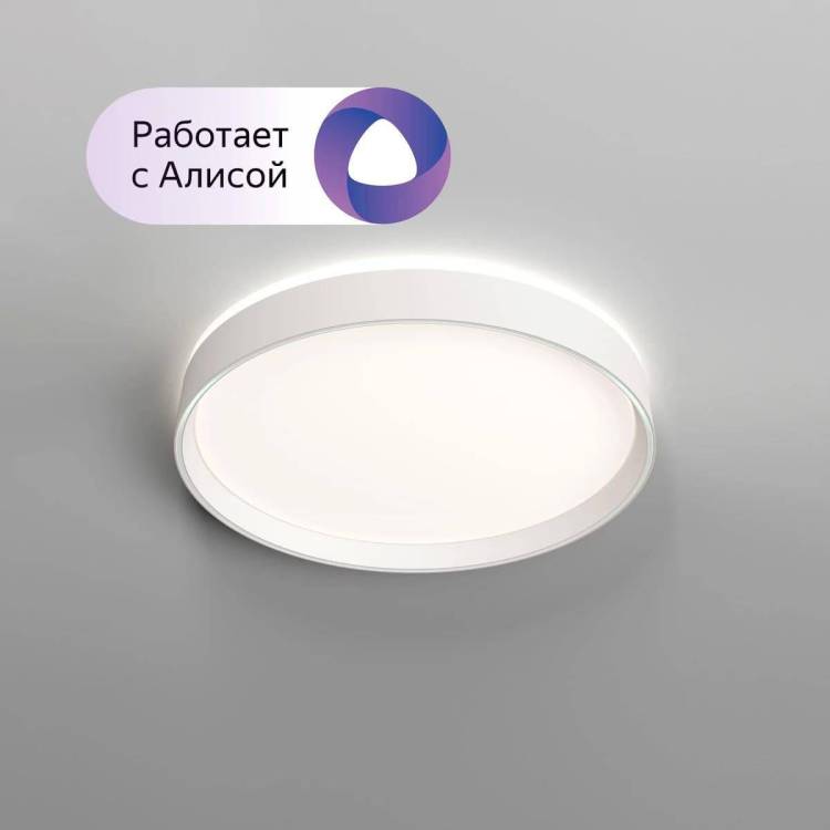Потолочный светодиодный светильник Denkirs Plato DK6510-WH/1
