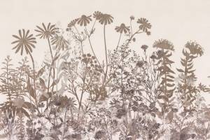 3D Фотообои Artegrafico «Светлая композиция из трав» HRB-042 акварель