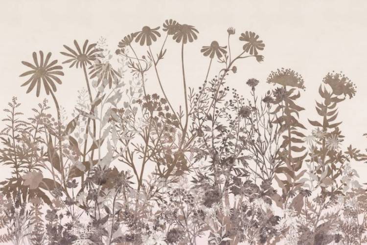 3D Фотообои Artegrafico «Светлая композиция из трав» HRB-042 акварель