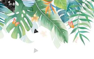 3D Фотообои Artegrafico «Тропическая гармония» TR-023 канвас