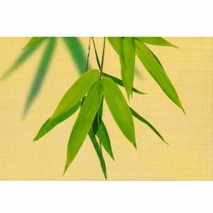 Декор Belarti Олира OLL 3 20x30