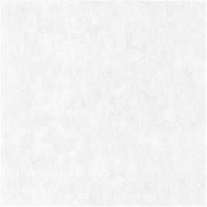 Обои Caselio Beton 101489000