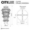 Люстра подвесная Citilux Etera CL322090 фото 18