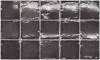 Керамическая плитка Equipe Altea 27606 Black 10x10