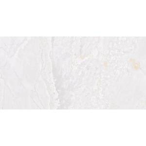 Керамогранит Fanal Planet SLARGC417594 White Metal Shine 60x120