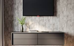 HomeColor Pine