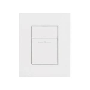 Кнопка смыва Wonzon & Woghand WW-IB256-MW белый матовый