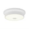 Потолочный светильник Citilux Фостер-2 CL706210 фото 2