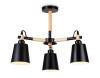 Потолочная люстра Ambrella light Traditional TR82206