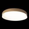 Потолочный светодиодный светильник Loft IT Coin 10198 White фото 7