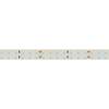 Светодиодная лента Arlight 20W/m 196LED/m 2835SMD теплый белый 5M 019091(2) фото 4