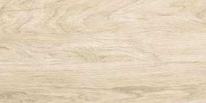 Керамогранит Alma Ceramica Brentwood GFA3060BWD04R Матовая 30x60