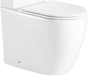 Чаша для унитаза-компакта BelBagno Etna BB2157CPR