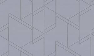 Обои Palitra Trend Maks FM72487-64