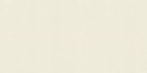 Обои Rasch Wall Textures Xl III 960747