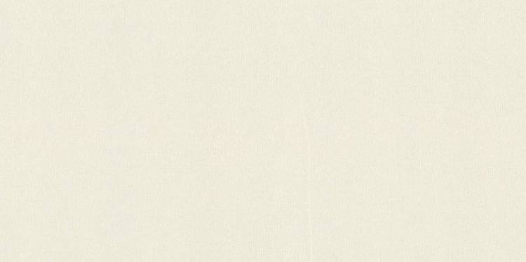Обои Rasch Wall Textures Xl III 960747