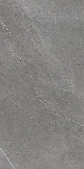 Керамогранит Ariostea Marmi Classici Grey Marble Luc 120x60
