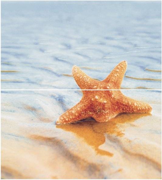 Панно Ceradim Starfish КПН16Starfish1 Dec 1 Panno (из 2-х шт) 50x45