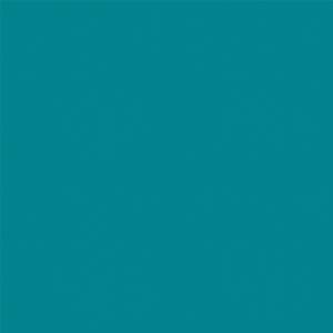 Спортивное ПВХ покрытие Tarkett Omnisports Action 65 Teal (рулон: 2x20.5=41 м2)
