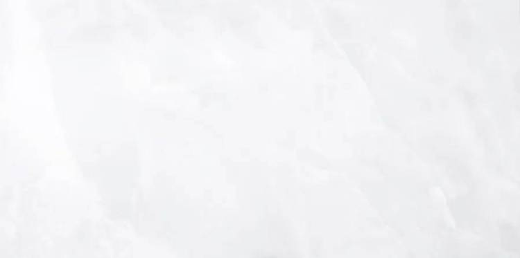 Керамогранит Monopole Onix 2114 White Pulido 59x119