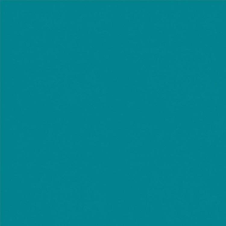 Спортивное ПВХ покрытие Tarkett Omnisports Action 65 Teal (рулон: 2x20.5=41 м2)
