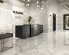 Керамогранит Dune Calacatta 189237 Superwhite Satin 60x120 фото 3