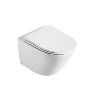 Унитаз подвесной D&K Rhein Bach DT1476516 безободковый, с крышкой-сиденьем микролифт