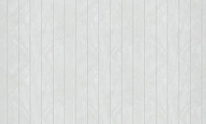 Обои флизелиновые Bruno Zoff Silver 60113-4