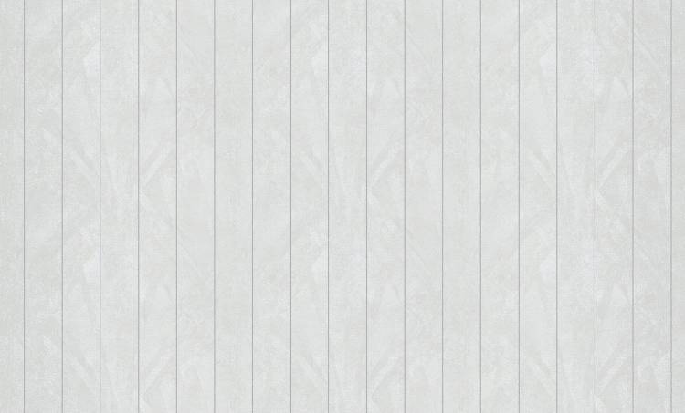 Обои флизелиновые Bruno Zoff Silver 60113-4