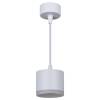 Подвесной светильник Reluce 53004-0.9-001LD GX53 WT фото 4