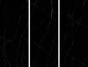 Слэб керамический Staro Slab Polished Marquina Night High Glossy 120x278 фото 2