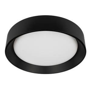 Потолочный светодиодный светильник Loft IT Coin 10202 BB