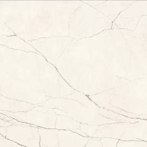 Керамогранит Imola Ceramica The Room STA VP6 120 RM 120x120