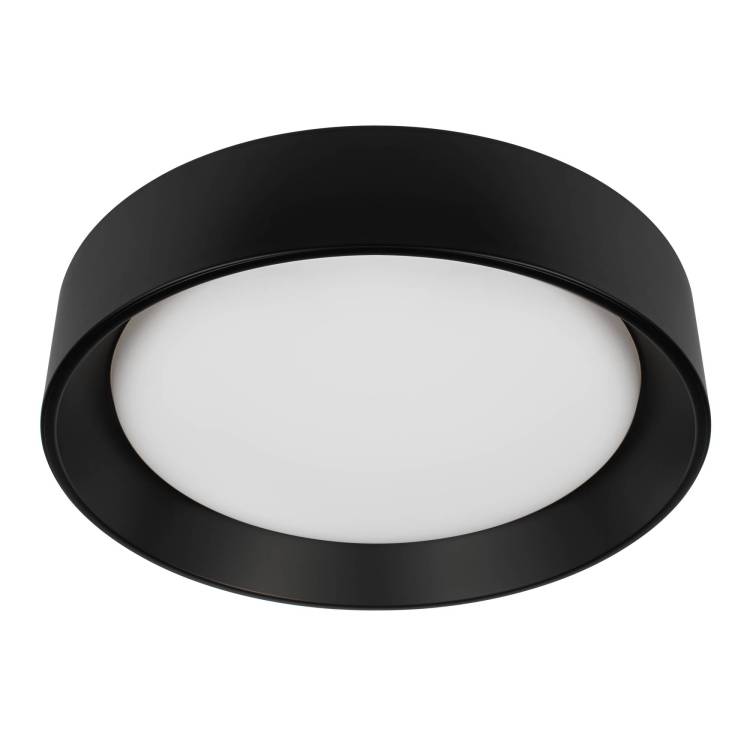 Потолочный светодиодный светильник Loft IT Coin 10202 BB