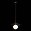 Подвесной светильник Loft IT Ufo 10120/250P Black фото 6