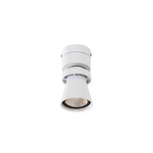 Спот Citilux Дубль CL556510