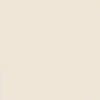 Керамическая плитка Vives Satinados Beige Mate 20x20