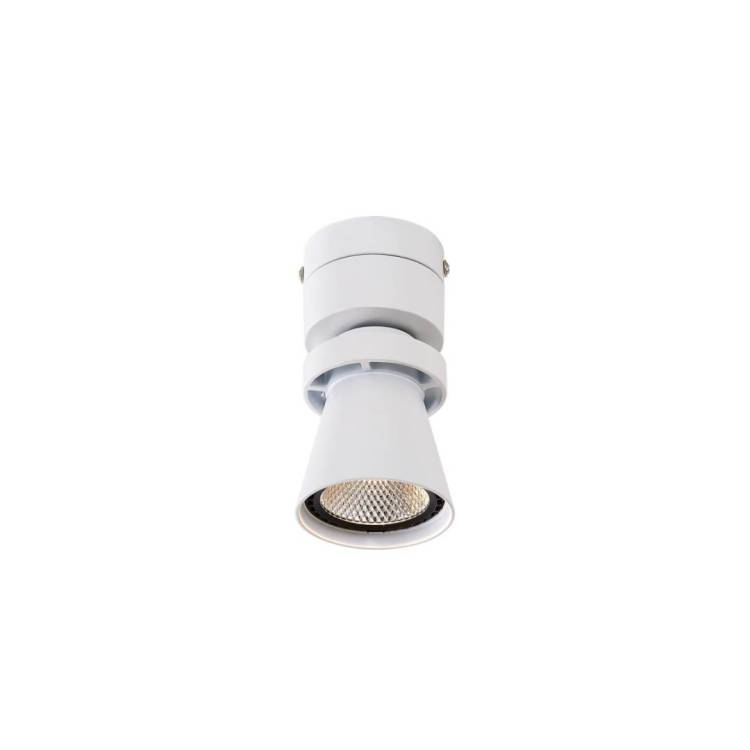 Спот Citilux Дубль CL556510